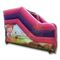 Toddler Slide- Princess Theme - Pink & Purple